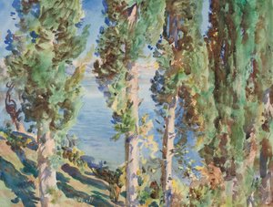 Corfù - Cipressi da John Singer Sargent